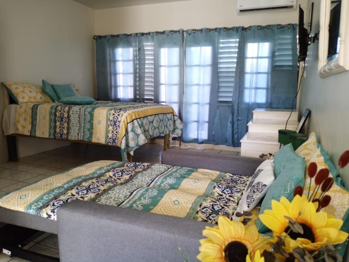Ridgeway Guest House Монтего Бей Екстериор снимка